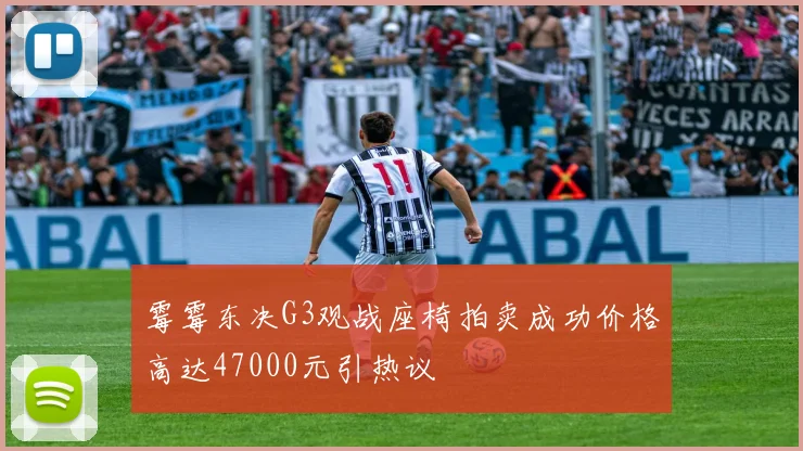 霉霉东决G3观战座椅拍卖成功价格高达47000元引热议